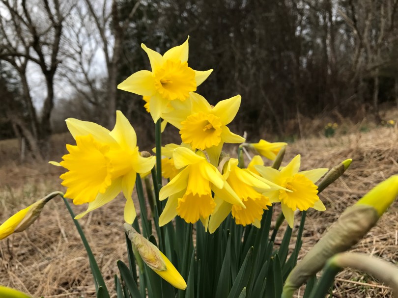 4DC58BEC-C72F-4359-B710-DD162349D168