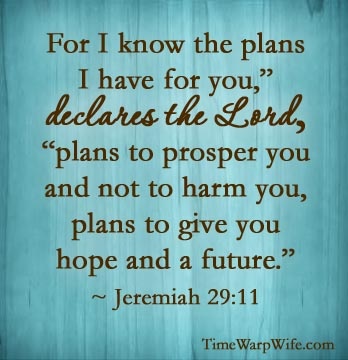 BBC1E73E-4C16-407D-B35B-E88FF5053903-3667-0000056FC513E7A1