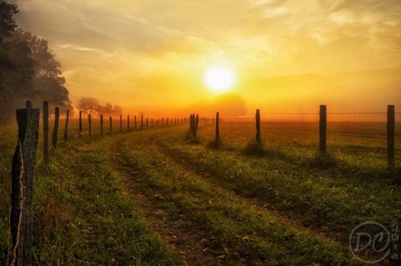 53576645-2269-4F53-85DF-E8C1312F5AD1