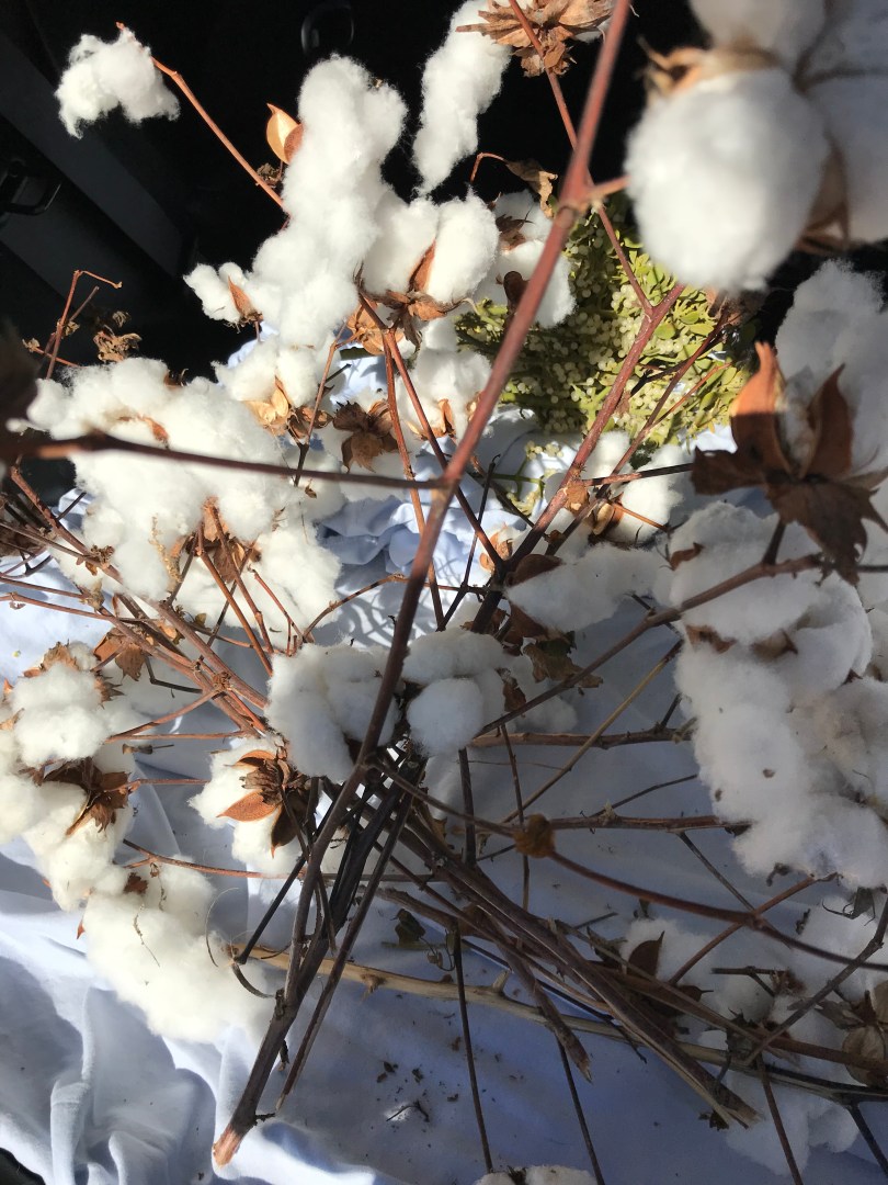 3C614C0F-FA26-491E-9E43-262EE01EE440