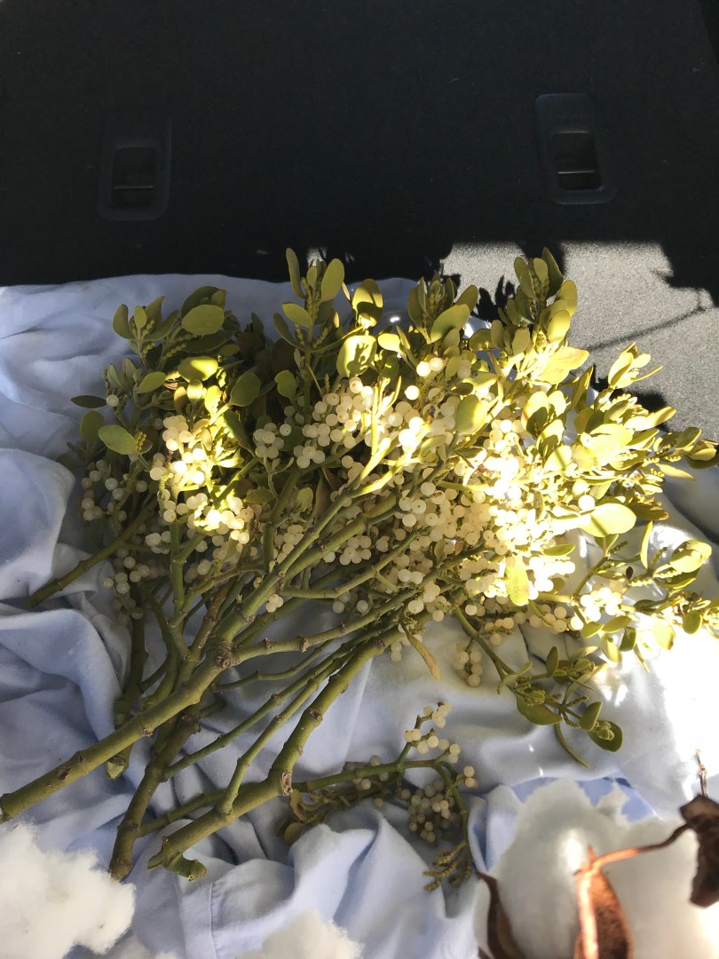 65EEF7B0-C515-4264-9805-94F98507F262