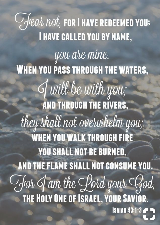 45946249-BA62-4EF6-A391-43AFE3659854