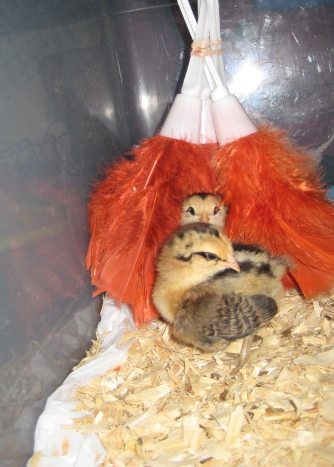 507AF559-C6B5-4D8D-BDA7-1CC842B27607